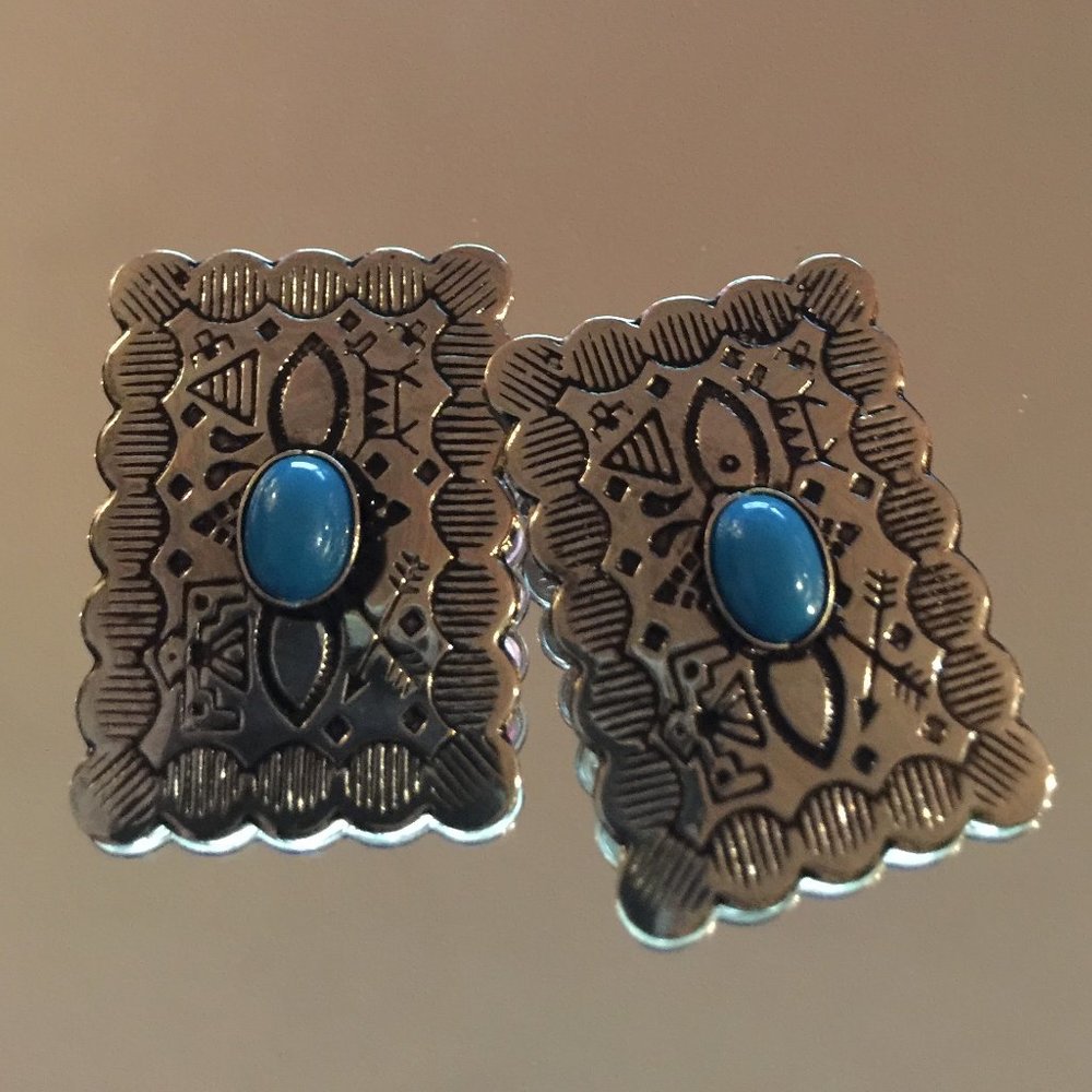 Gorgeous Earrings - Stocking Stuffer - Never Worn